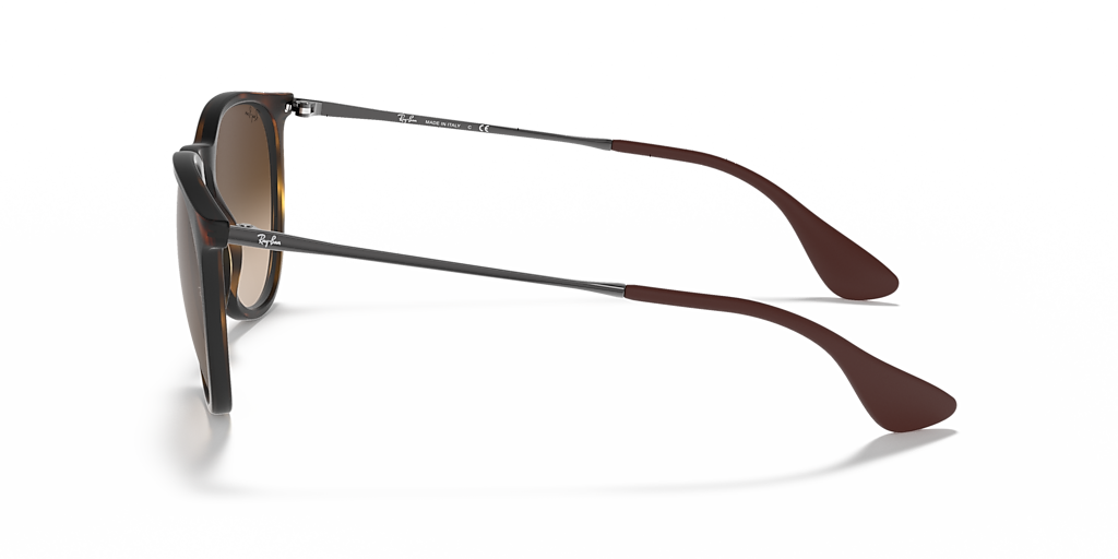 Ray-Ban Erika Classic M (54 - 18) with Brown lenses and Brown