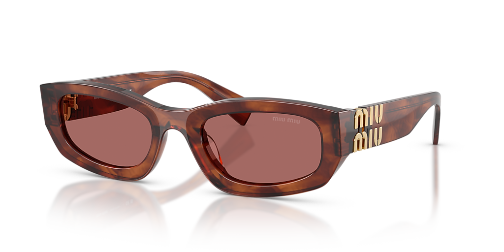 Miu Miu MU B04S L (53 - 22) with Violet lenses and Brown frame