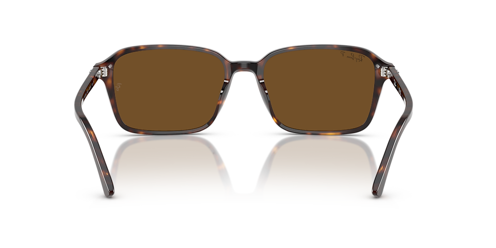 Ray-Ban Raimond XL (58 - 18) with Brown lenses and Tortoise frame