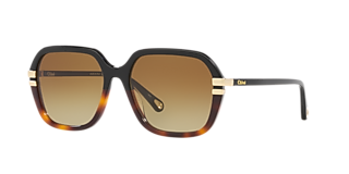 Chloé CH0331S L (58 - 17) with Brown lenses and Tortoise frame