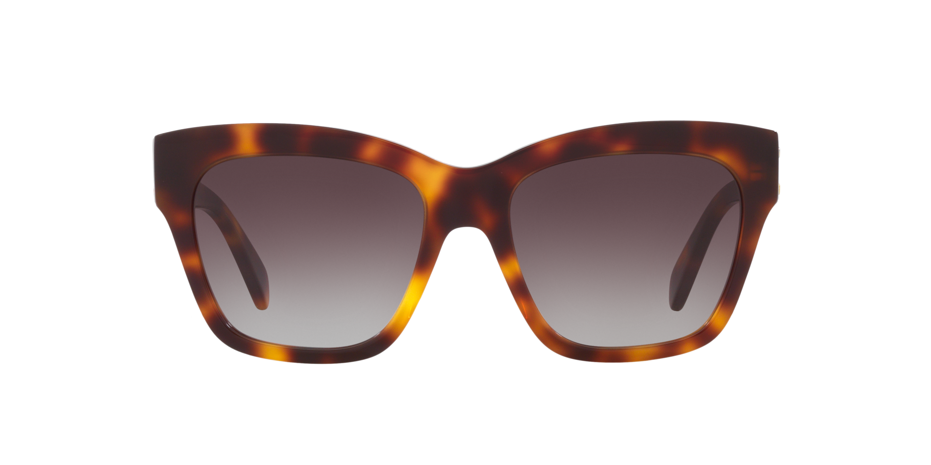 Celine Triomphe S (55 - 18) with Brown lenses and Tortoise frame
