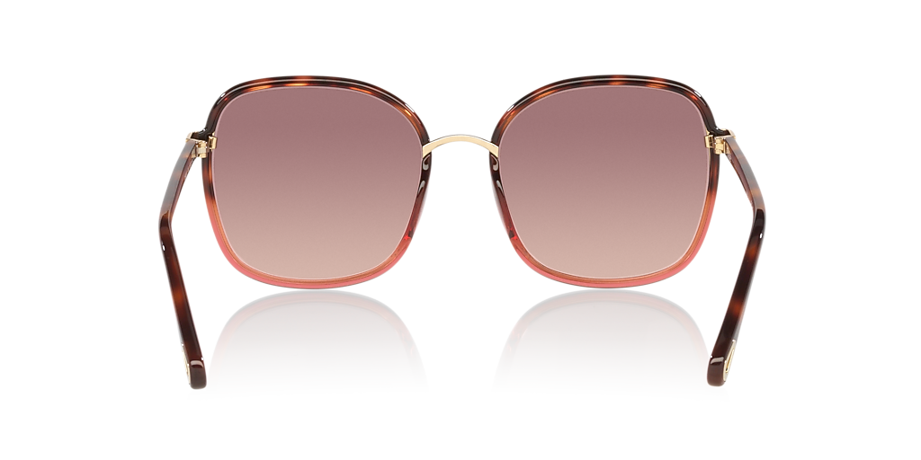 Chloé CH0031S L (56 - 19) with Red lenses and Tortoise frame