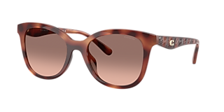 Coach HC8426U CAD81 L (54 - 19) with Violet lenses and Grey frame