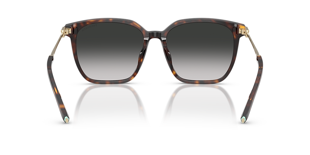 tue Tiffany & Co. TF4244D XL (56 - 17) with Grey lenses and Tortoise