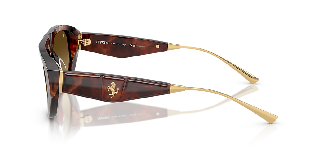 Ferrari FH2012U M (55 - 19) with Brown lenses and Tortoise frame