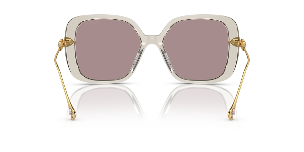 Swarovski SK6011 XL (55 - 17) with Violet lenses and Brown frame