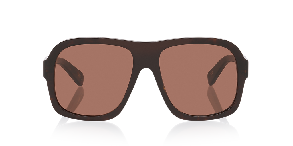Chloé CH0331S L (58 - 17) with Brown lenses and Tortoise frame
