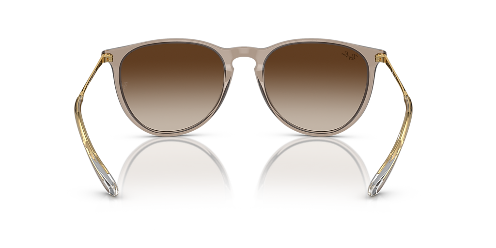 Ray-Ban Erika Classic M (54 - 18) with Brown lenses and Brown