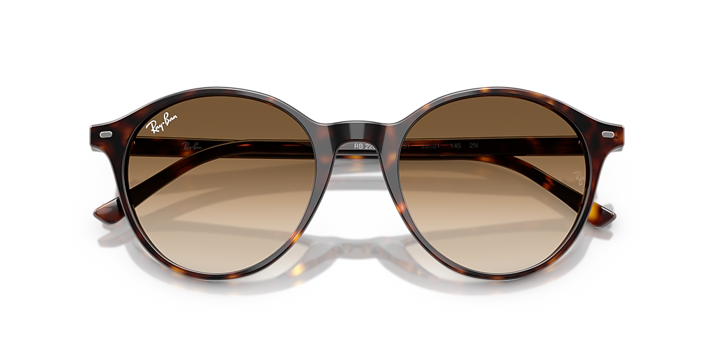 Ray-Ban RB2230 M (53 - 21) with Brown lenses and Tortoise  display picture 1