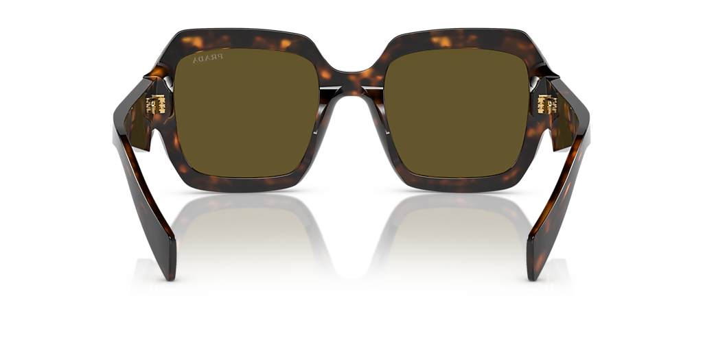 Prada PR 28ZS M (53 - 22) with Brown lenses and Green frame