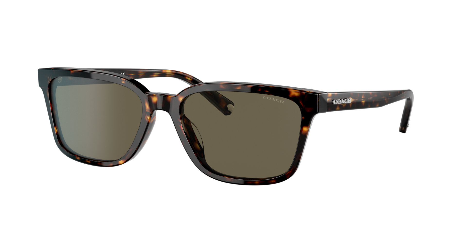 Coach Homme Sunglass C6196 - Couleur du Monture caille de tortue fonce Couleur de Lentille Marron fonc uni 74 €