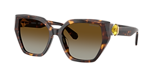 Swarovski SK6041 XL (53 - 19) with Brown lenses and Brown frame