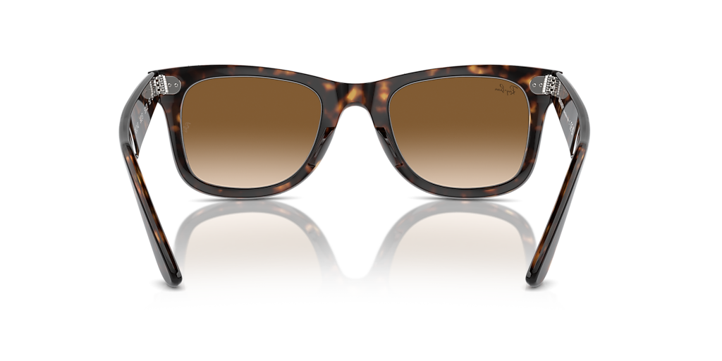Ray-Ban Original Wayfarer Classic L (50 - 22) with Brown lenses