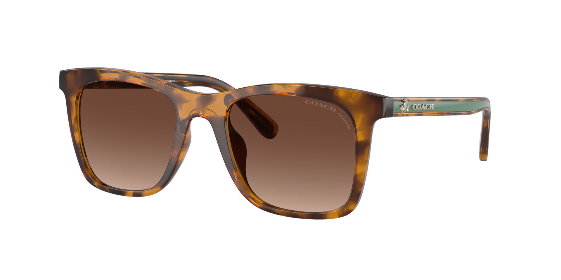 Coach Femme Sunglass Ch561 - Couleur du Monture caille de tortue fonce Couleur de Lentille Dgrad Marron Polaris 84 €