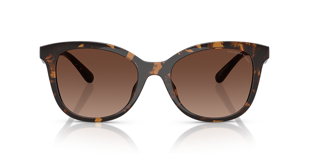 Coach CAD25 XL (55 - 20) with Brown lenses and Tortoise frame