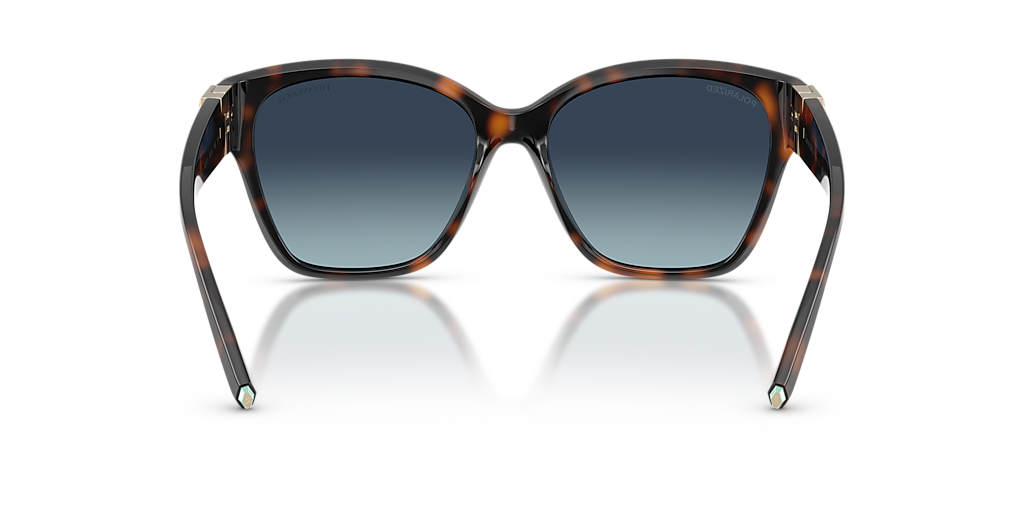 Tiffany & Co. TF4254U XL (56 - 16) with Blue lenses and Tortoise