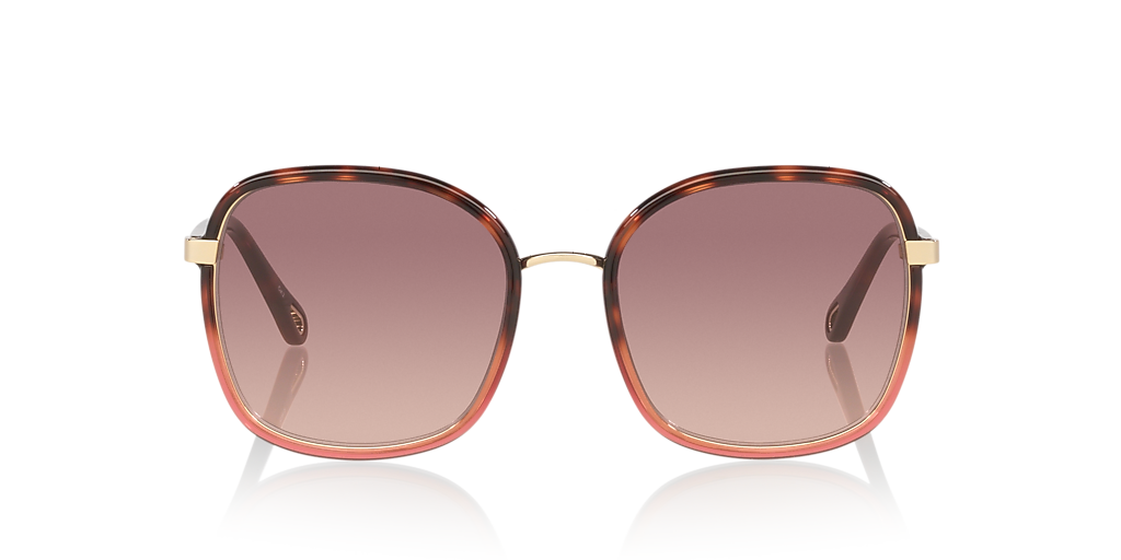 Chloé CH0031S L (56 - 19) with Red lenses and Tortoise frame