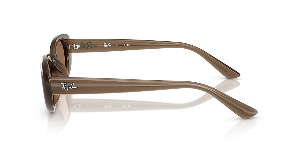 Ray-Ban RB4441D Bio-Based L (53 - 21) with Brown lenses and Brown