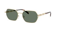 Michael Kors Saint Martin XL (57 - 18) with Grey lenses and Gold