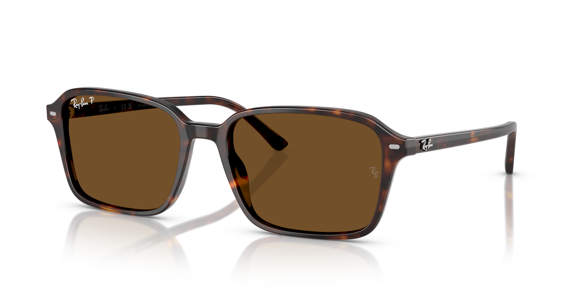 RB2231F Raimond