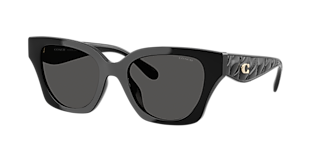 Coach CAD28 XL (55 - 23) with Grey lenses and Black frame