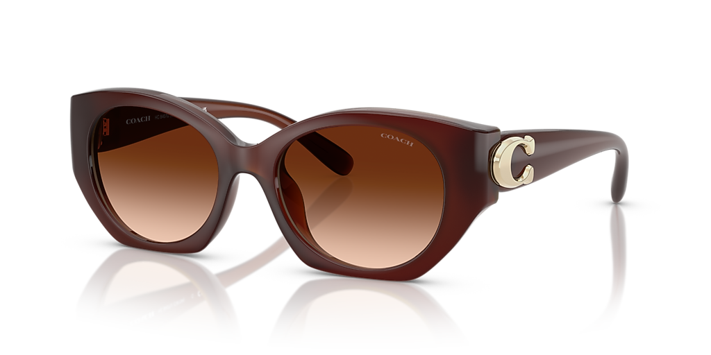 Coach CW194 M (52 - 18) with Brown lenses and Brown frame
