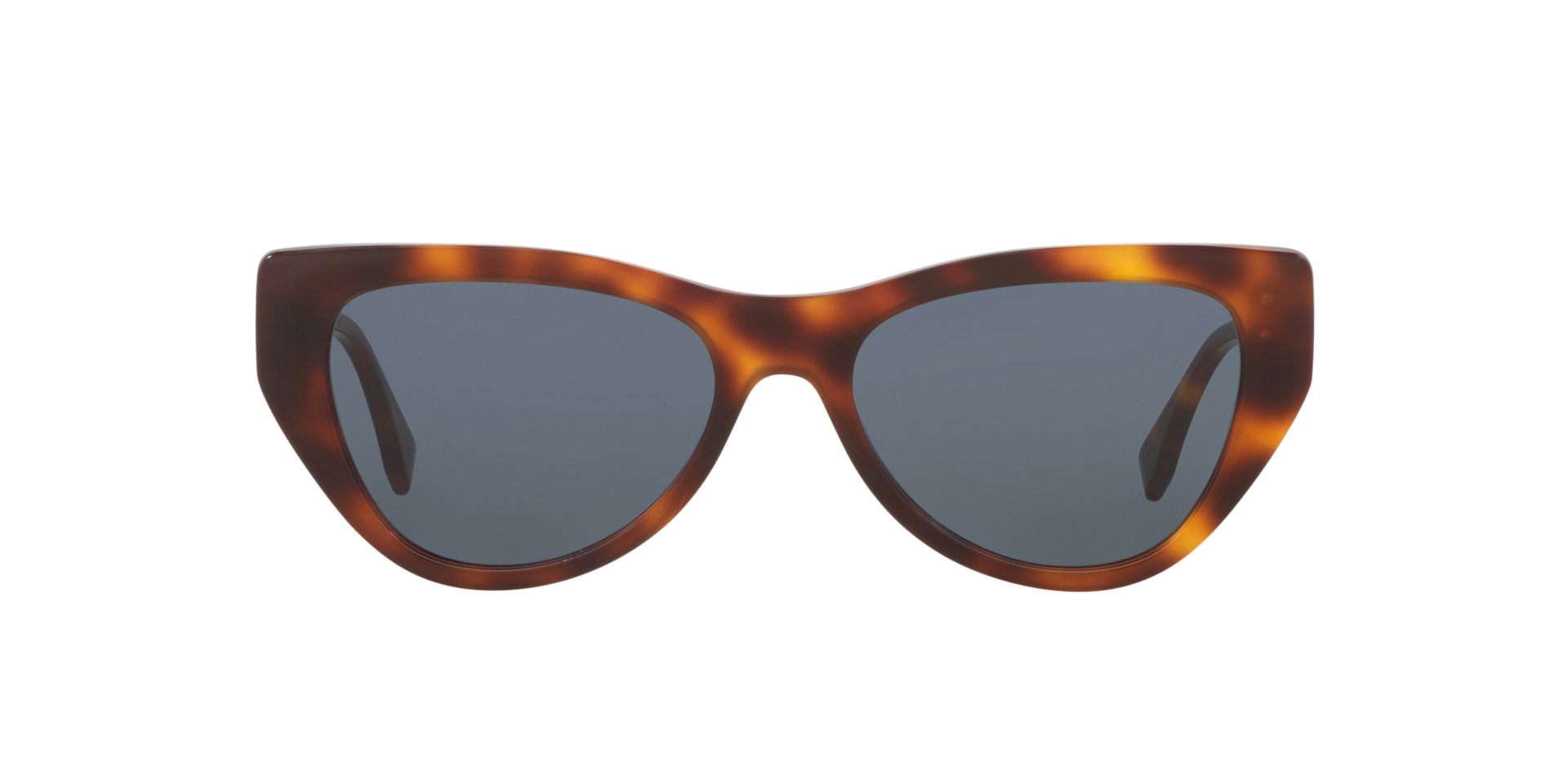 Fendi Fe40149I S (54 - 17) with Blue lenses and Tortoise frame