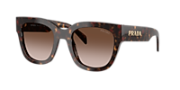 Prada PR C04SF L (53 - 20) with Brown lenses and Tortoise frame