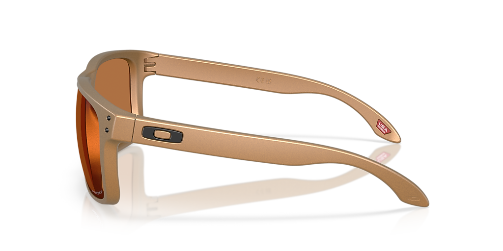 Oakley Holbrook™ XL Alloy Collection XL (59 - 18) with Brown