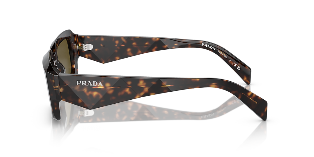 Prada PR 27ZSF L (55 - 19) with Brown lenses and Tortoise frame