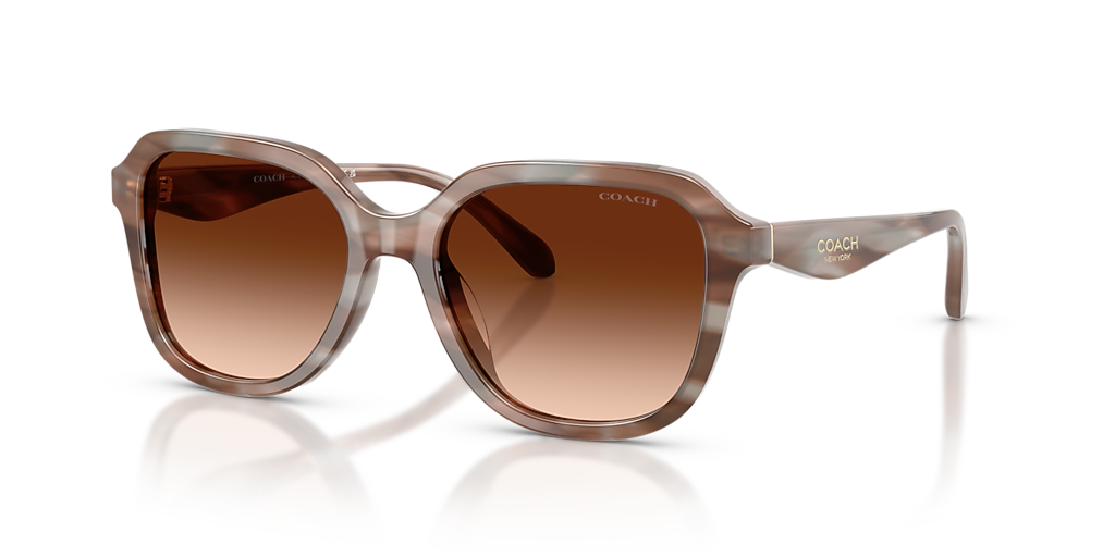 Coach CBY87 S (53 - 18) with Brown lenses and Brown frame  display picture 3