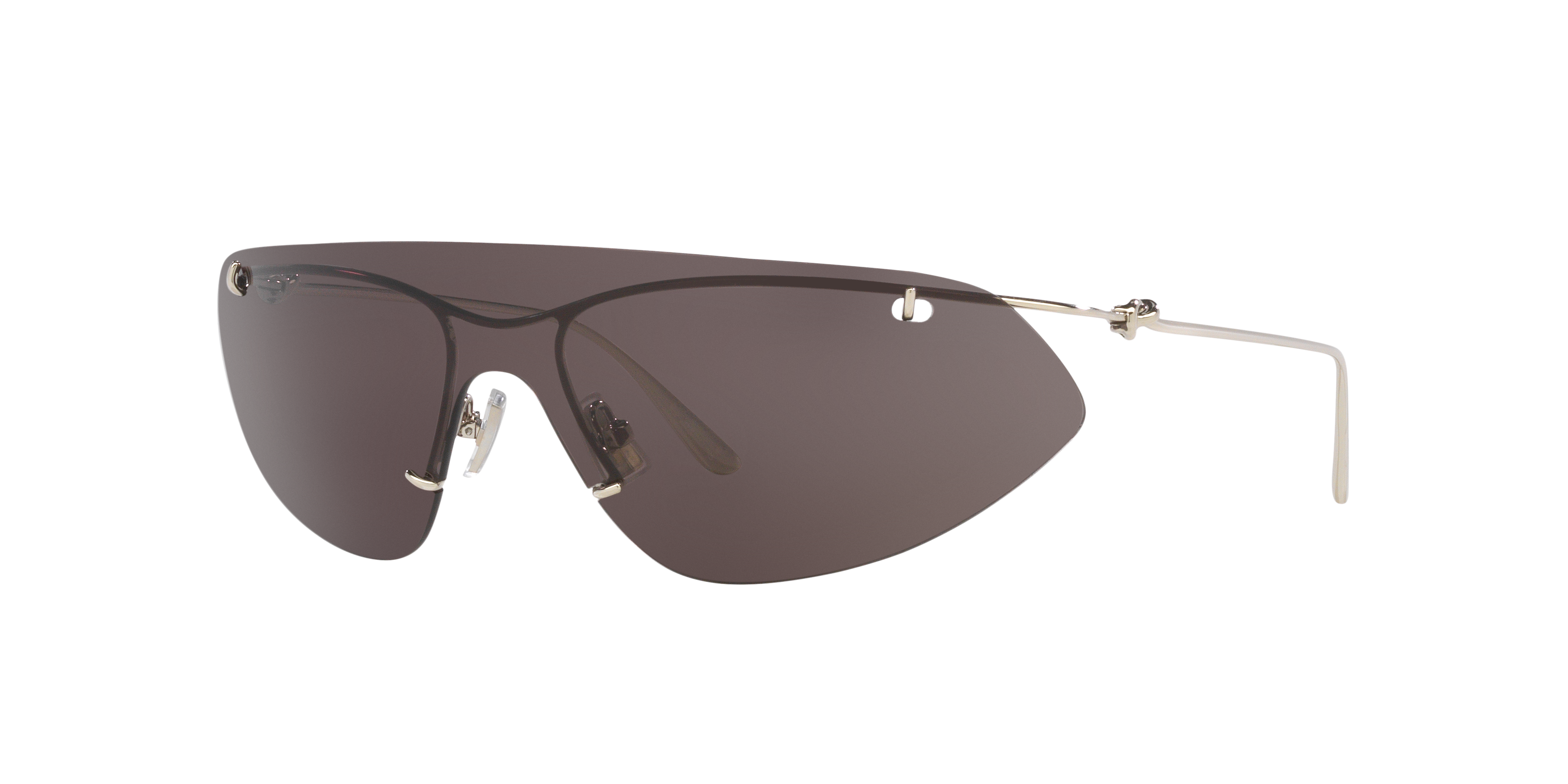 Bottega Veneta BV1272S XXL (99 - 01) with Grey lenses and Silver