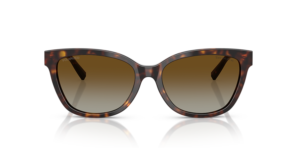 Tiffany & Co. TF4237B M (55 - 17) with Brown lenses and  display picture 2