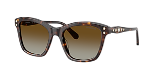 Swarovski SK6041 XL (53 - 19) with Brown lenses and Brown frame