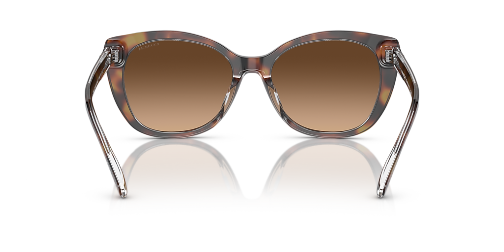 Coach CH566 M (55 - 18) with Brown lenses and Tortoise frame