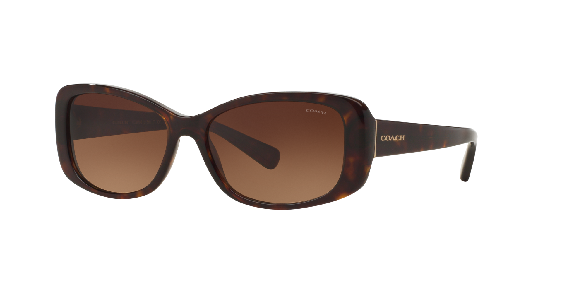 Coach L156 M (56 - 16) with Brown lenses and Tortoise frame