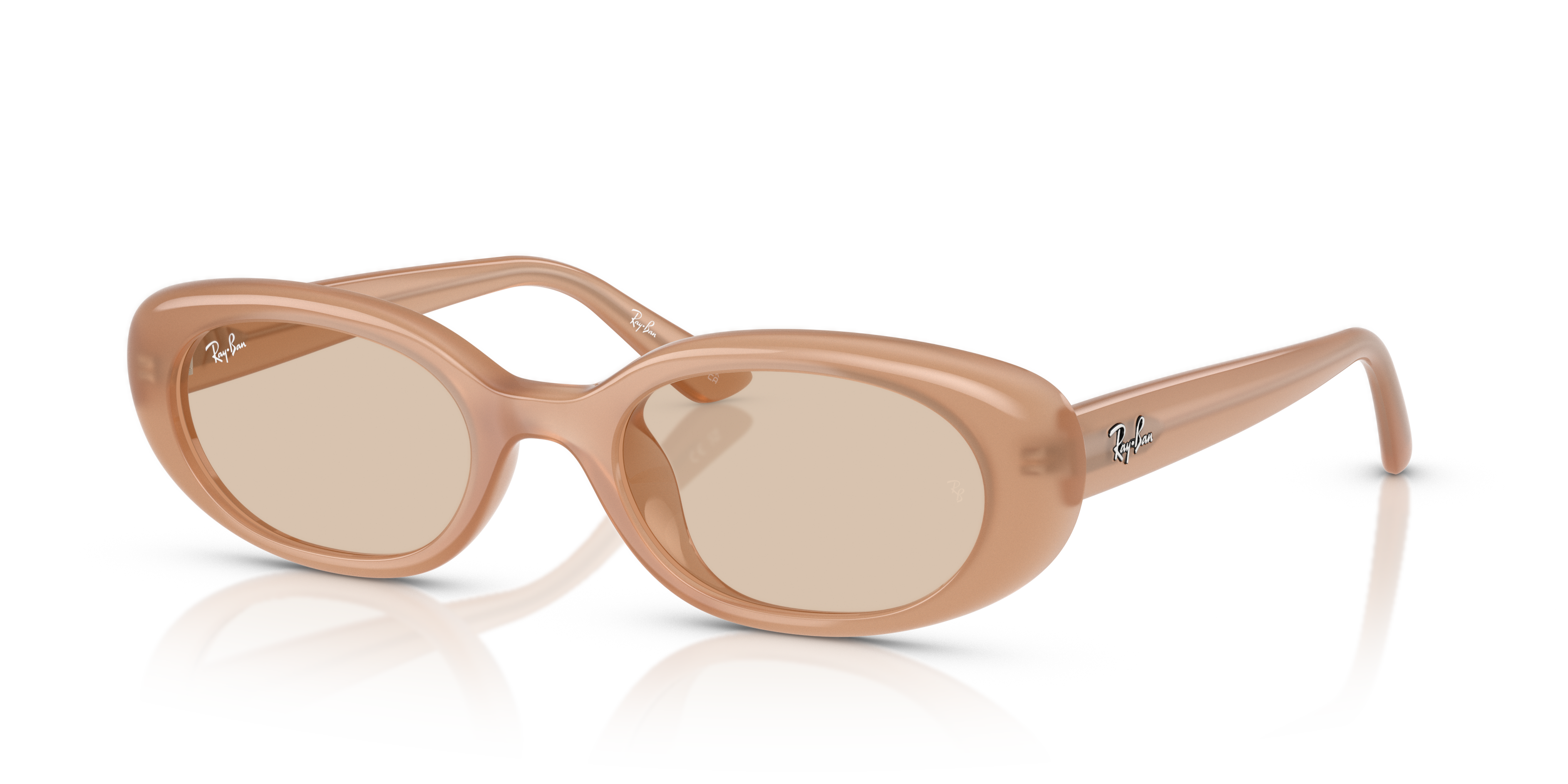 Ray-Ban RB4441D Bio-Based L (53 - 21) with Brown lenses and Brown