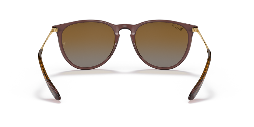 Ray-Ban Erika Classic M (54 - 18) with Brown lenses and Brown