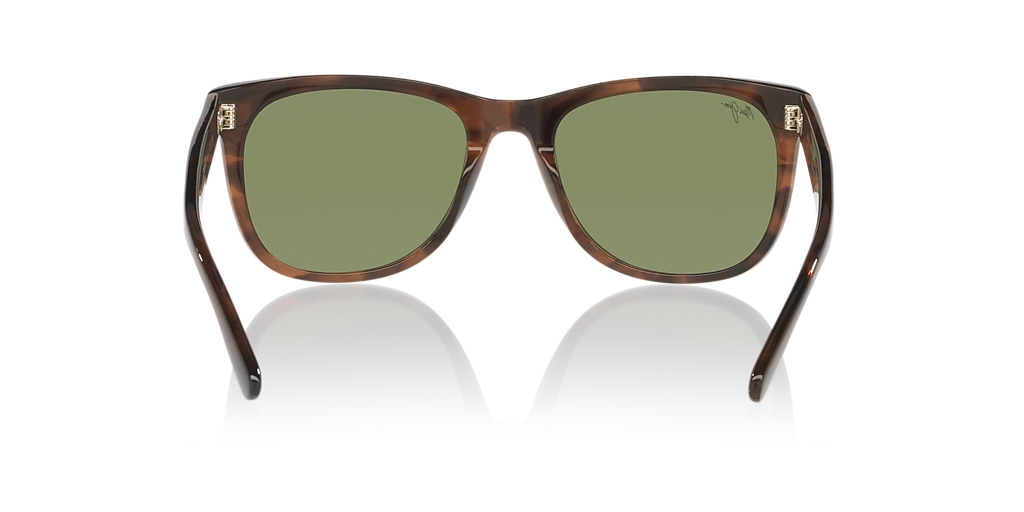 マドンナ・ルイーズ・ヴェロニカ・チコーネ Maui Jim Kikonia Xl L (55 - 22) with Green lenses and Brown frame