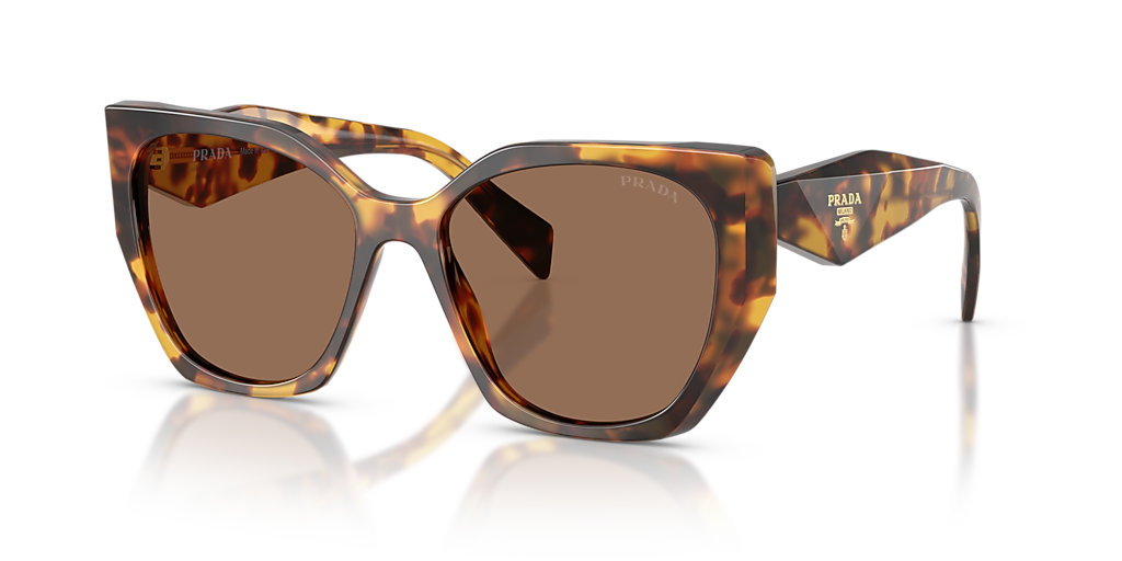 Prada PR 19ZS M (55 - 17) with Brown lenses and Tortoise frame