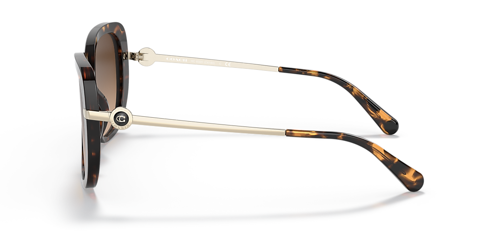 Coach C6180 XL (55 - 17) with Brown lenses and Tortoise frame