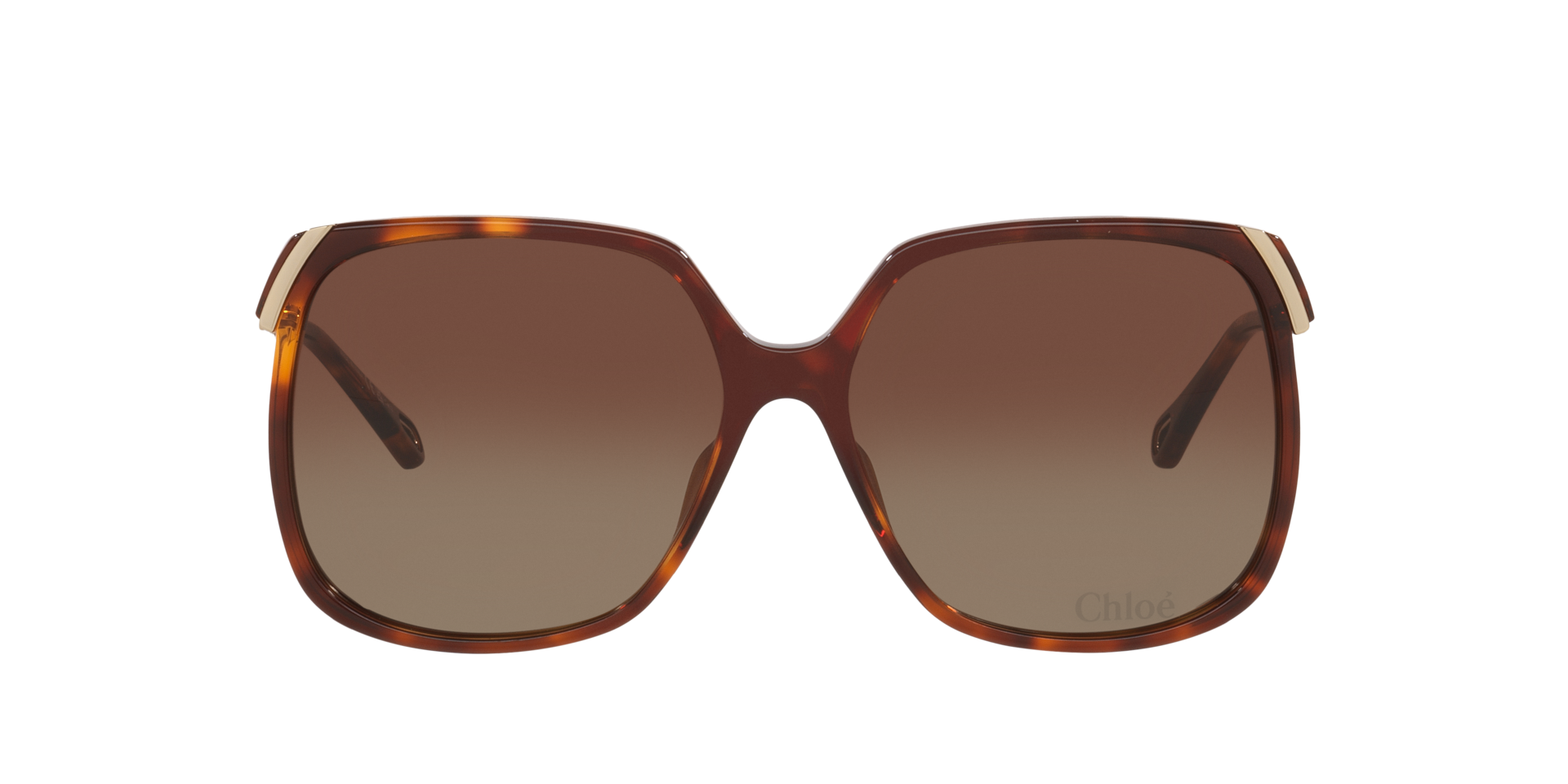 Chloé CH0286S XL (60 - 15) with Brown lenses and Tortoise frame