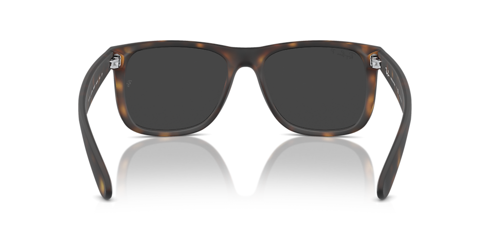Ray-Ban Justin Classic S (54 - 16) with Grey lenses and Tortoise