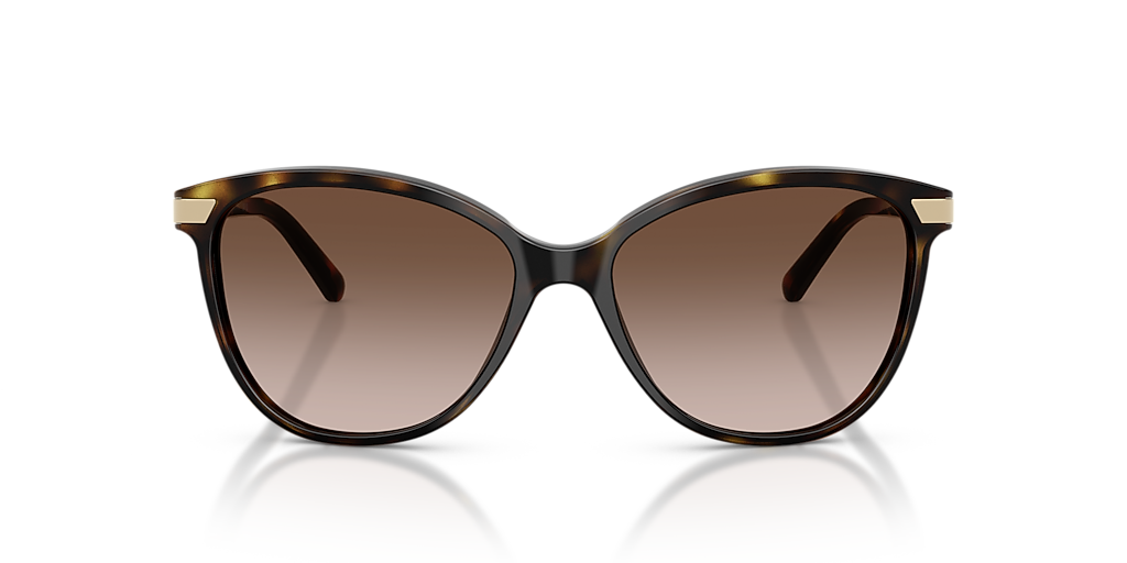 Burberry BE4216 L (57 - 16) with Brown lenses and Brown frame