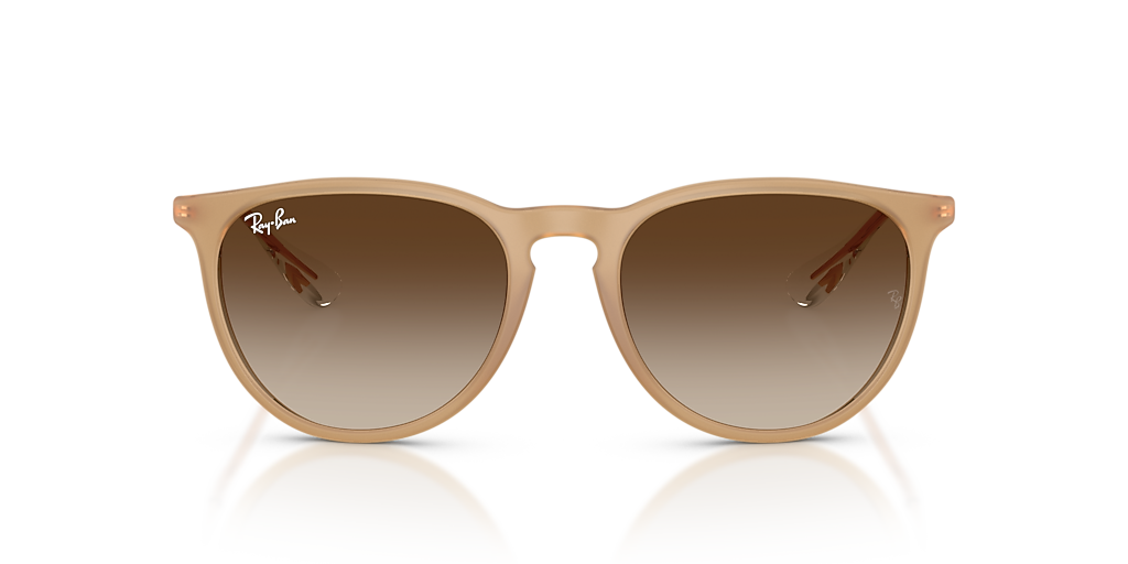 Ray-Ban Erika Classic M (54 - 18) with Brown lenses and Brown