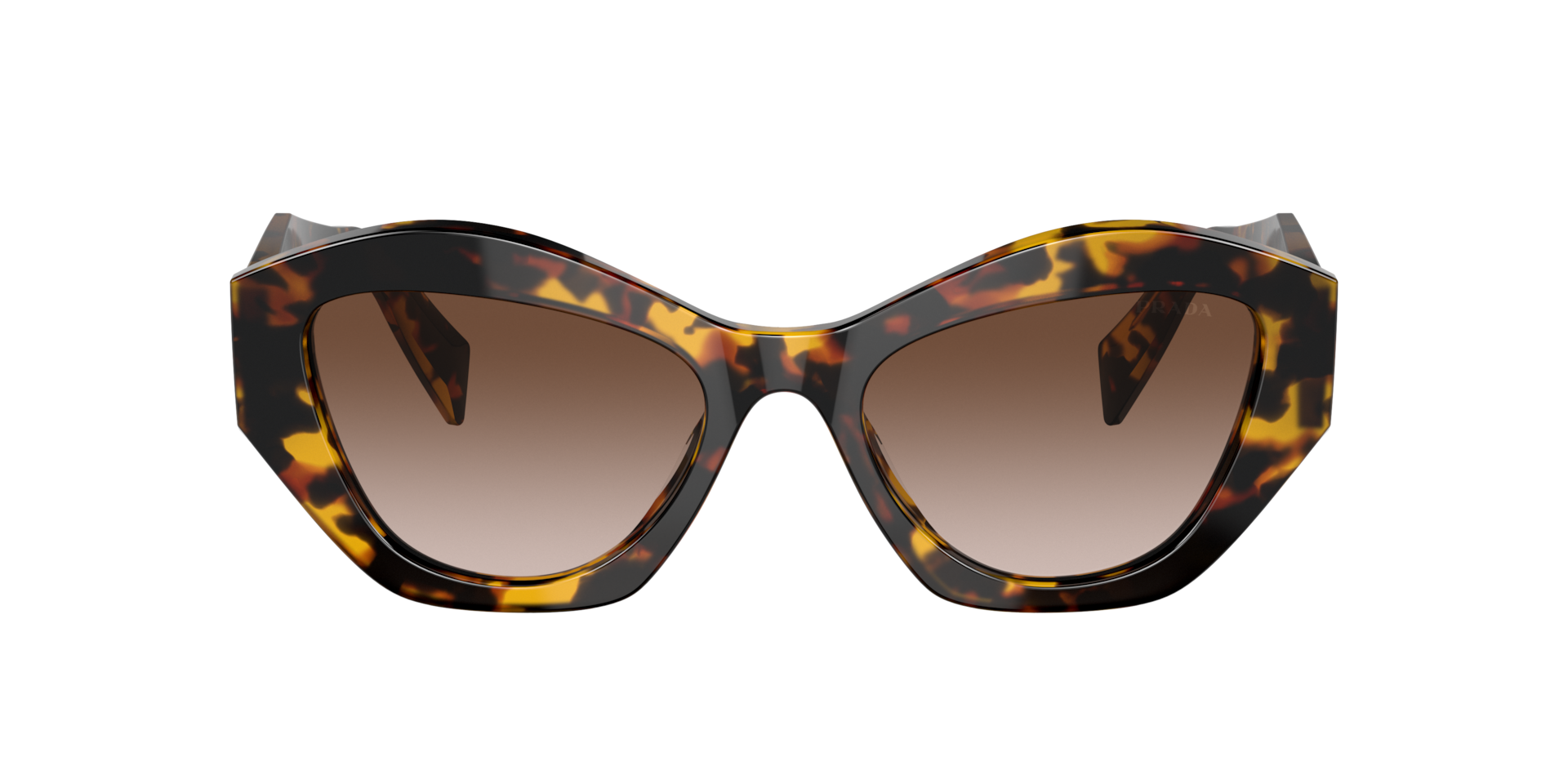 Prada PR 07YS M (53 - 19) with Brown lenses and Tortoise frame