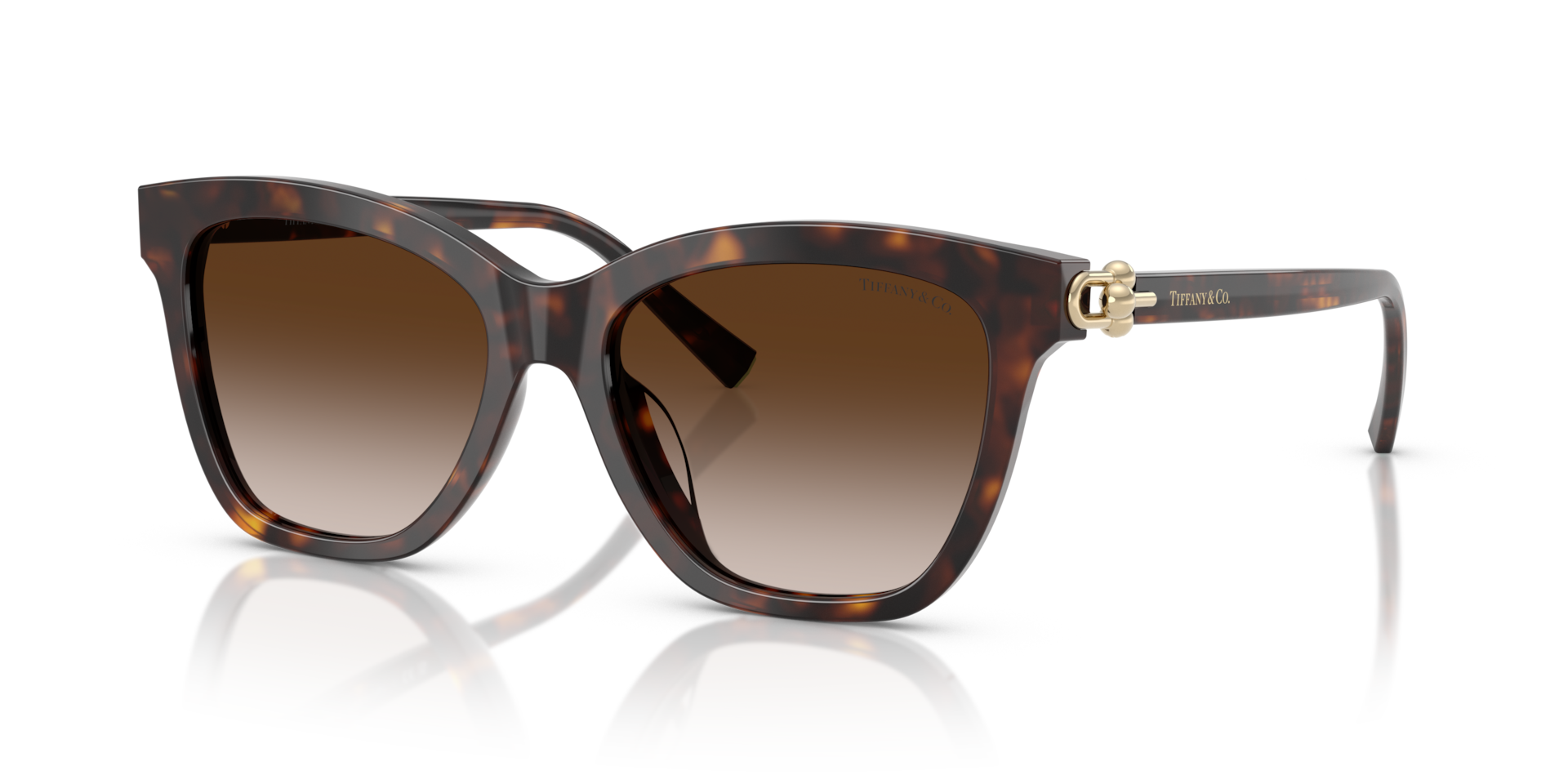 Tiffany & Co. TF4241D XXL (54 - 17) with Brown lenses and Tortoise