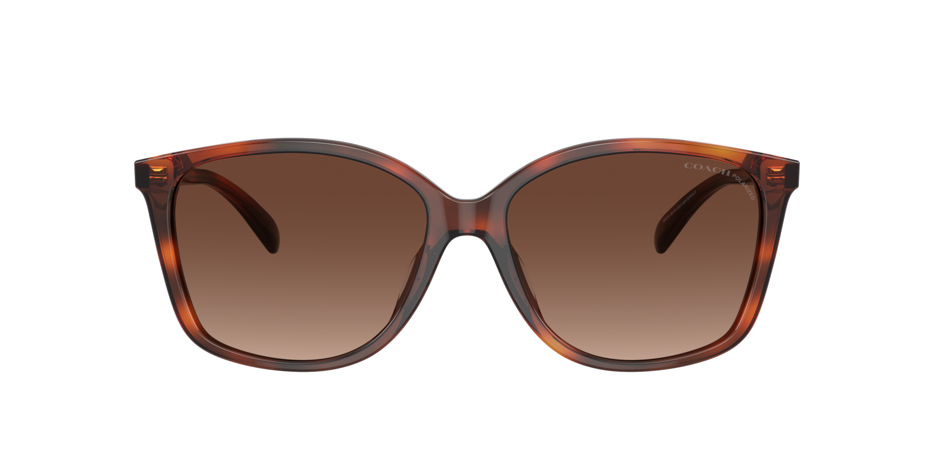Coach CH558 M (57 - 16) with Brown lenses and Tortoise frame