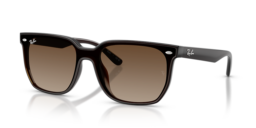 Ray-Ban RB4466D XL (0 - 147) with Brown lenses and Brown frame