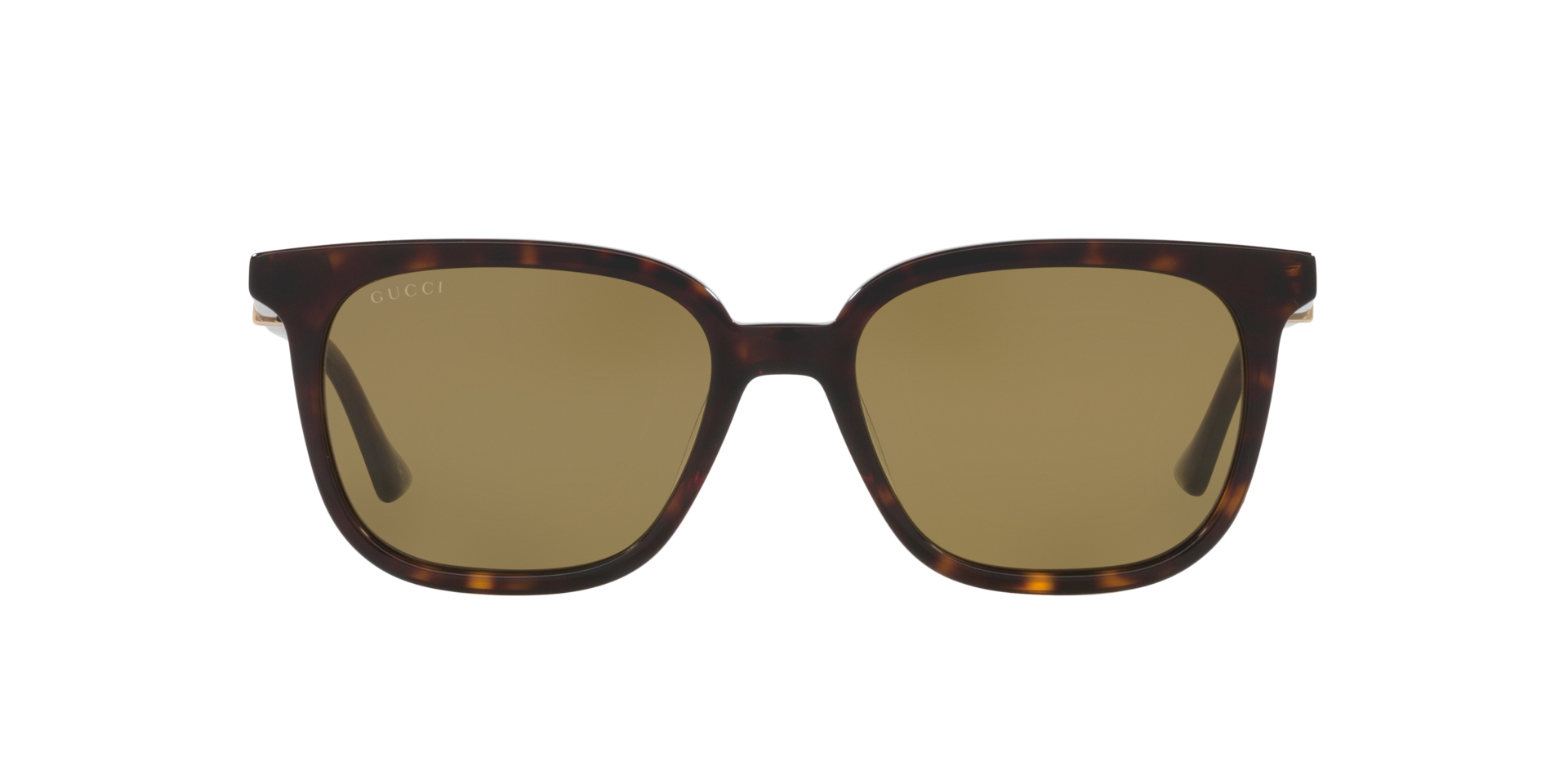 Gucci GG1493S M (54 - 18) with Green lenses and Tortoise frame